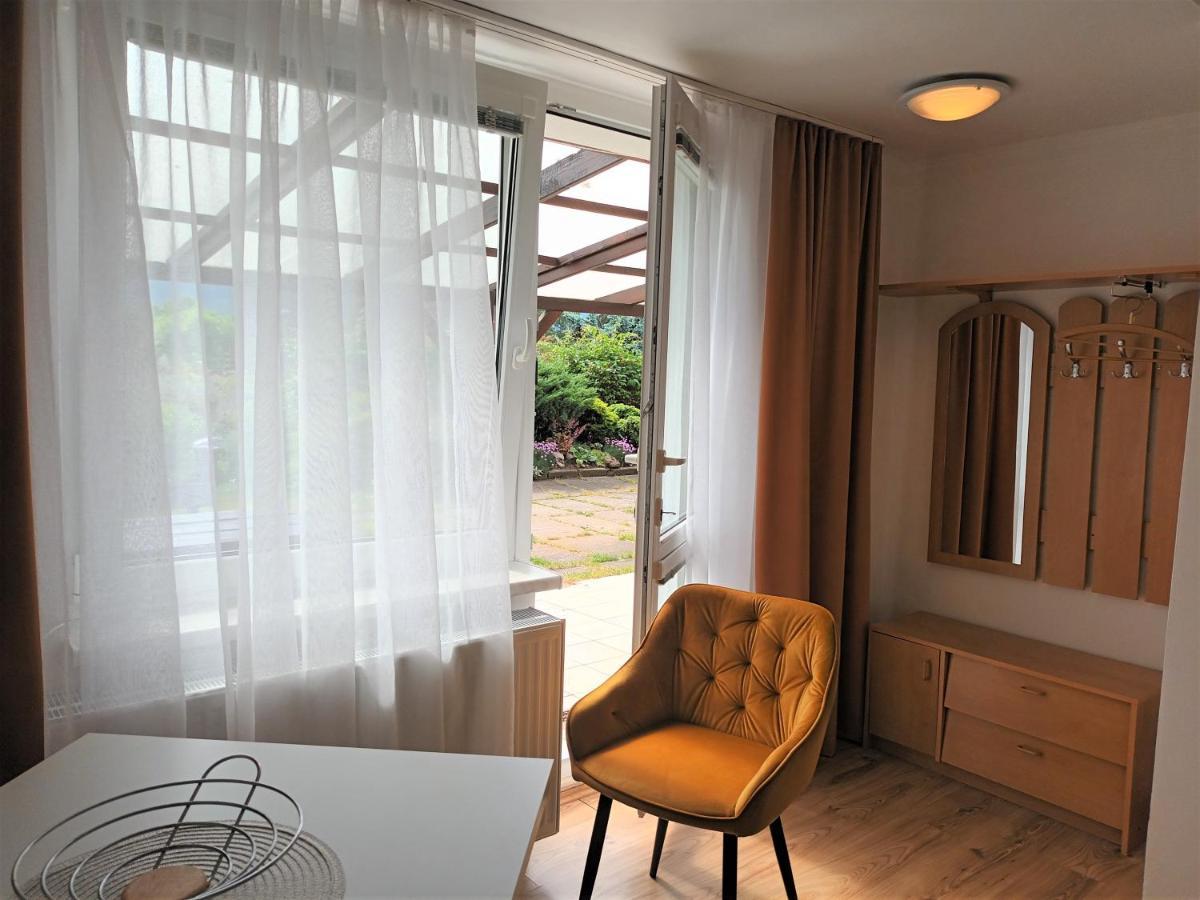Apartman Alena カルロヴィ・ヴァリ エクステリア 写真