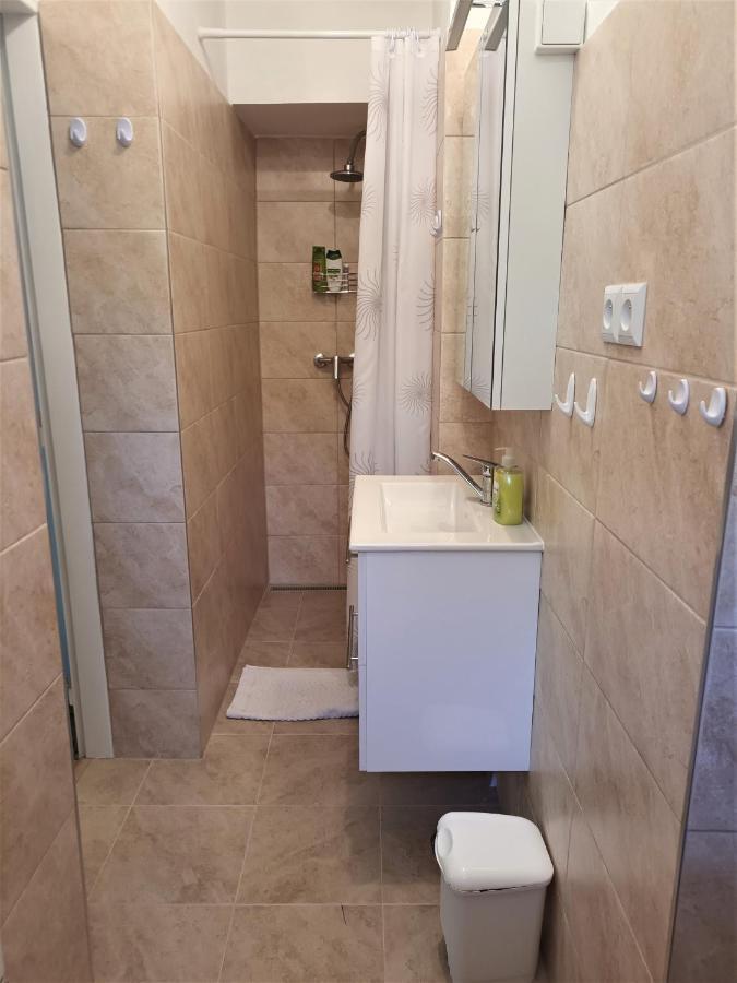 Apartman Alena カルロヴィ・ヴァリ エクステリア 写真