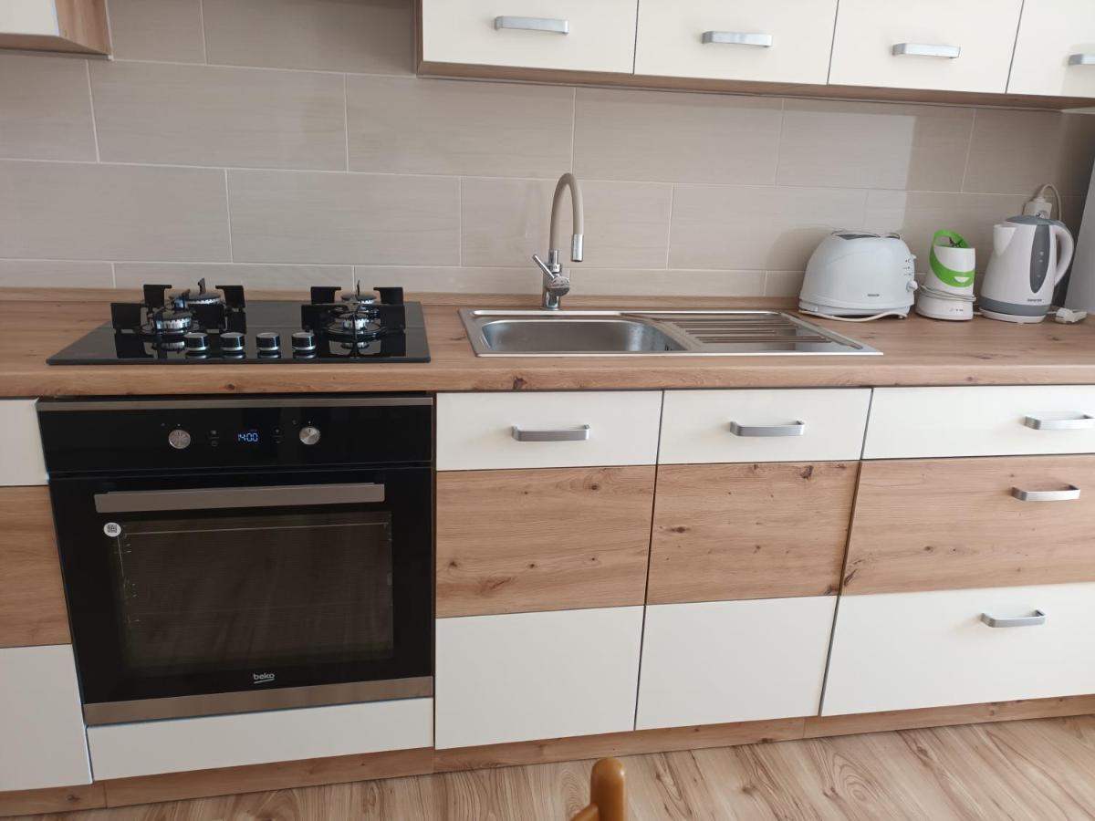 Apartman Alena カルロヴィ・ヴァリ エクステリア 写真