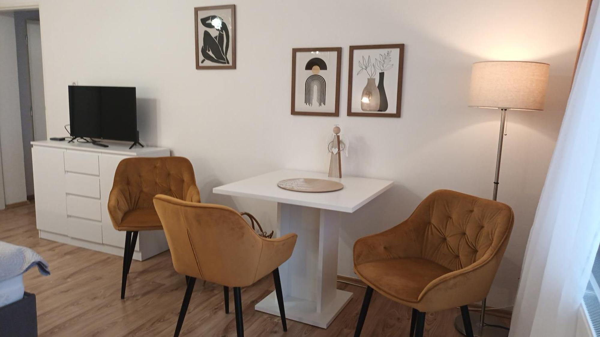 Apartman Alena カルロヴィ・ヴァリ エクステリア 写真